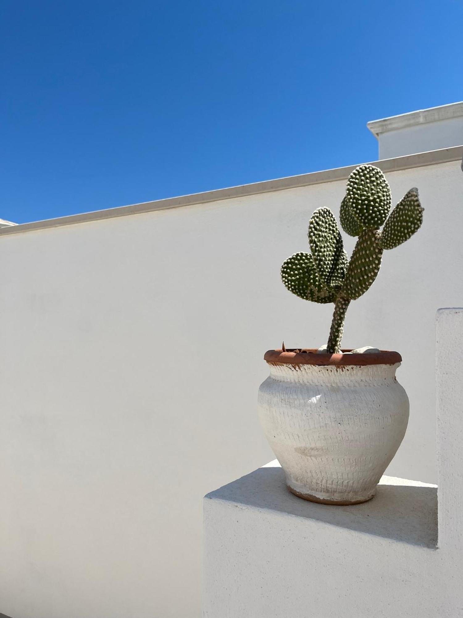 El-Mar Locazione Turistica House With Exclusive Terrace Apartment Polignano a Mare Exterior foto